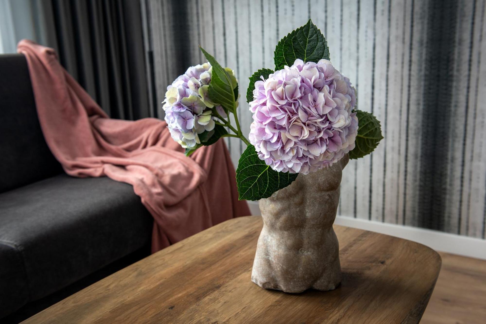 Inpoint Spacious Apartments Near Main Square & Kazimierz District Cracóvia Quarto foto